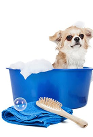 Picture for category Pet Personal Care & Grooming